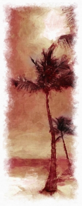 Picture of SUNSET PALM 1