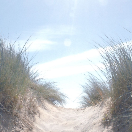 Picture of TOP OF THE DUNES