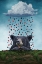 Picture of A BEARS DREAM