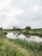 Picture of A RIVER RUNS