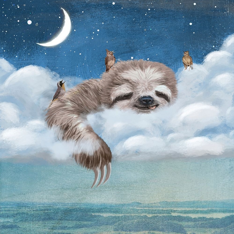 Picture of A SLOTHS DREAM