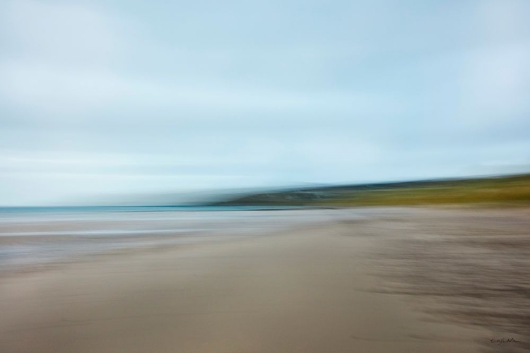 Picture of BASKING SEAWEED