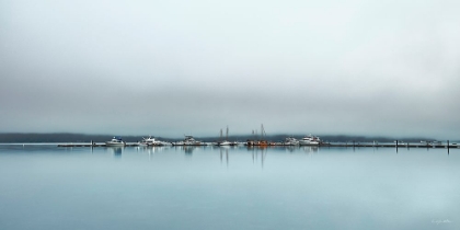 Picture of CHILLING FOG