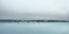 Picture of CHILLING FOG