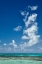 Picture of CORAL BLUE