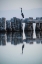 Picture of HERON HUNTING