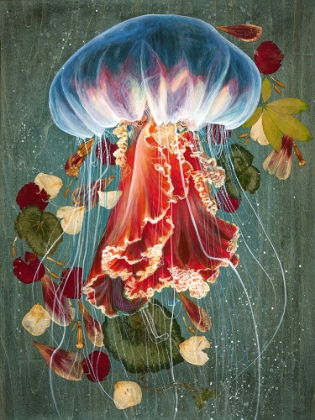 Picture of JELLY FISH 2