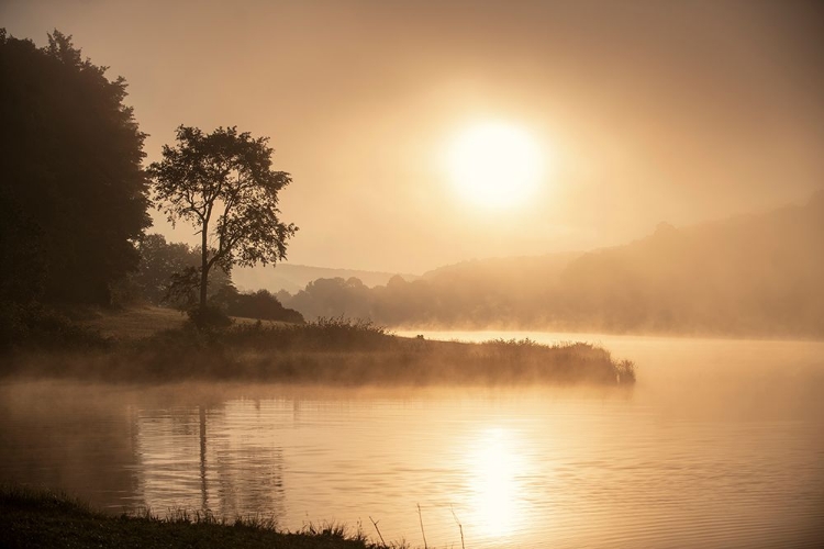 Picture of MISTY MORNING ON HIDDEN LAKE