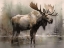Picture of MOOSE IN THE DUSK