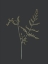 Picture of PEACEFUL RETREAT FERN 2