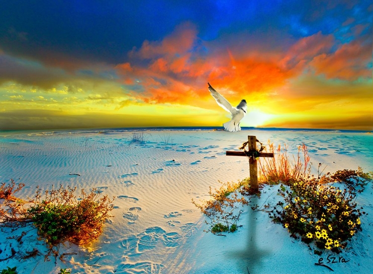 Picture of CHRISTIAN CROSS DOVE GODS LOVE PEACH SUNSET