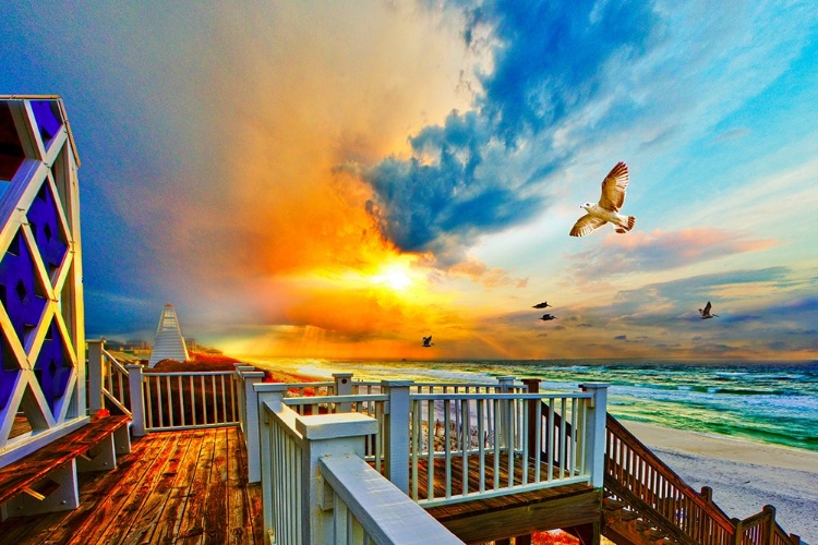 Picture of COLORFUL BEACH SUNSET LANDSCAPE SEA HAWK