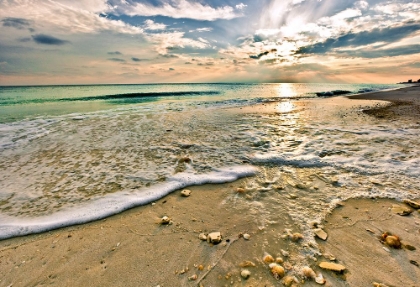 Picture of EMERALD GREEN WAVE AND BEACH SHELLS UNDER SUNSET