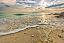 Picture of EMERALD GREEN WAVE AND BEACH SHELLS UNDER SUNSET