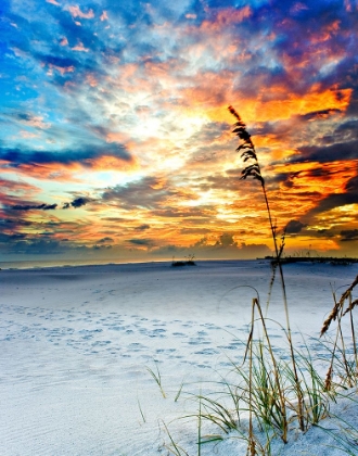 Picture of FIERY BURNING RED CLOUDS SUNSET FOOTPRINTS