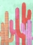 Picture of FUNNY CACTUS