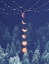 Picture of HOLIDAY NIGHT