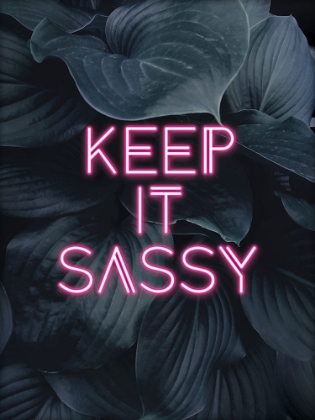 Picture of KEEP IT SASSY