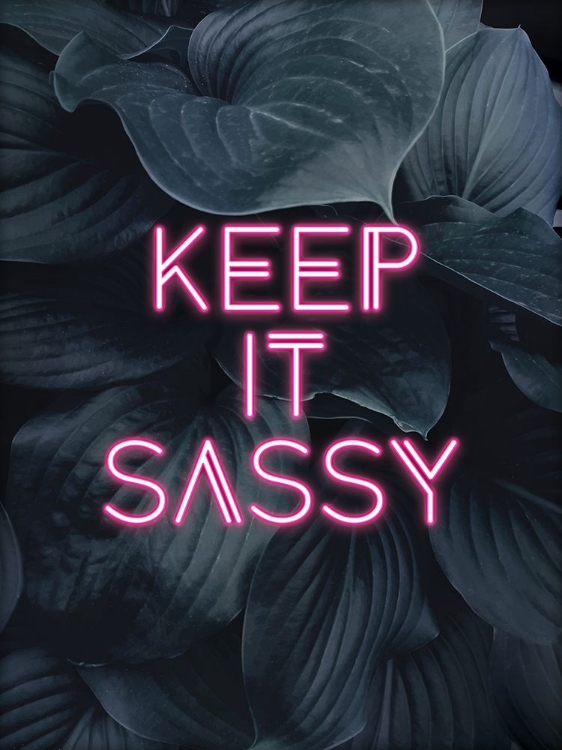 Picture of KEEP IT SASSY