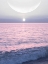 Picture of MOON AND SUN ON THE SEA