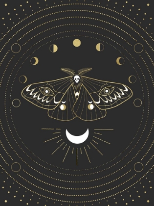 Picture of MOON MOTHMAN