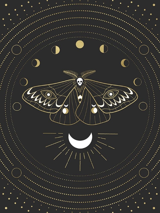 Picture of MOON MOTHMAN