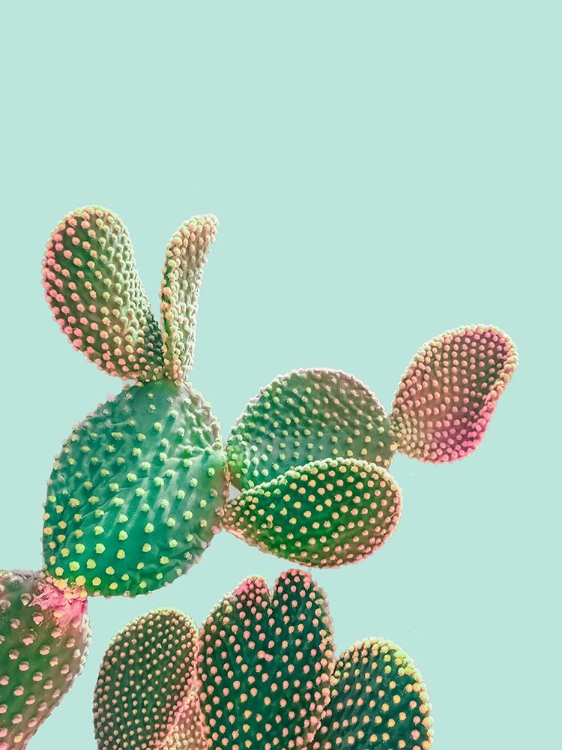 Picture of PASTEL CACTUS