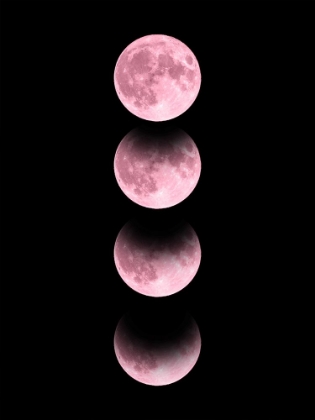 Picture of PINK MOON