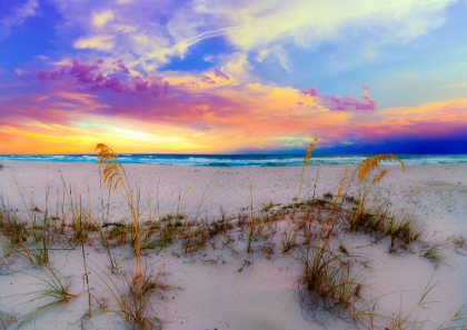 Picture of PURPLE PINK AND BLUE SUNRISE OVER BEACH SEA OATS
