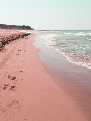 Picture of WILD PINK OCEAN