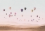 Picture of AIR BALLOONS