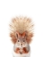 Picture of BABY SQUIRREL