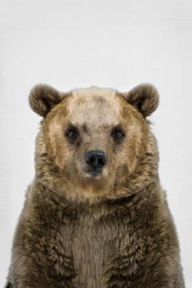 Picture of BEAR