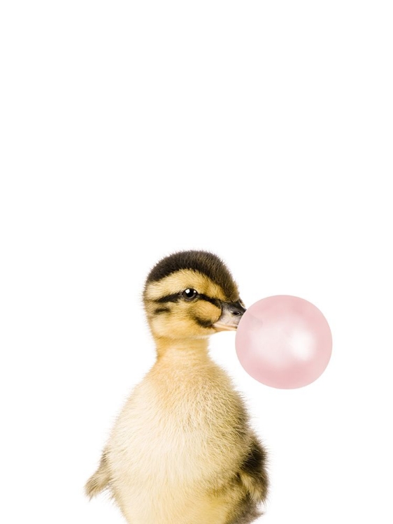 Picture of BUBBLE GUM DUCK