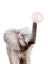 Picture of BUBBLE GUM ELEPHANT
