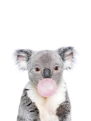 Picture of BUBBLE GUM KOALA