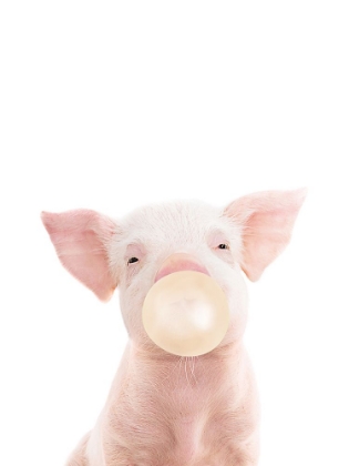 Picture of BUBBLE GUM PIGLET