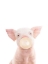 Picture of BUBBLE GUM PIGLET