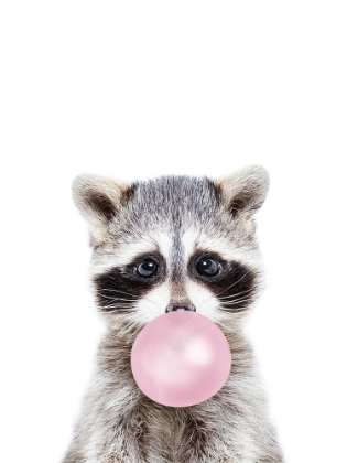 Picture of BUBBLE GUM RACOON