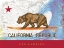 Picture of CALI BEAR, LOS ANGELES
