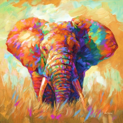 Picture of COLORFUL ELEPHANT