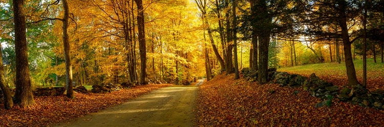 Picture of COUNTRYSIDE ROAD WOODSTOCK VERMONT PANORAMA