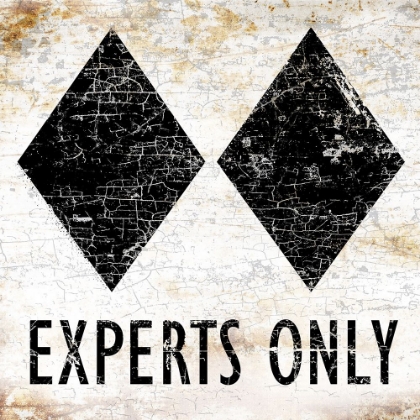 Picture of EXPERTS ONLY