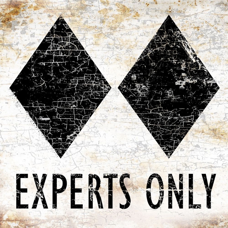 Picture of EXPERTS ONLY