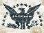 Picture of FREEDOM EAGLE
