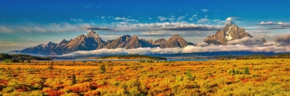 Picture of GRAND TETONS PANORAMA