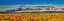 Picture of GRAND TETONS PANORAMA