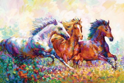 Picture of HORSES RUNNING