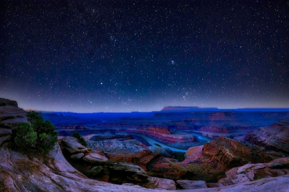 Picture of HORSESHOE BEND AND STARRY SKY