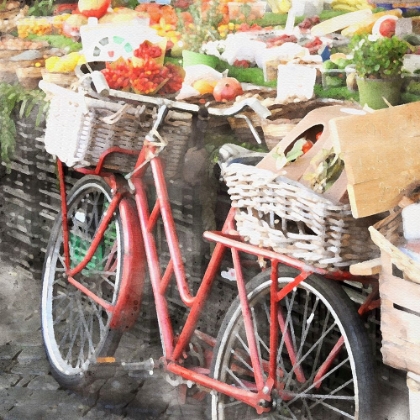 Picture of ITALIAN BIKE RIDE